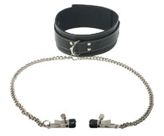 Coveted Collar And Clamp Union