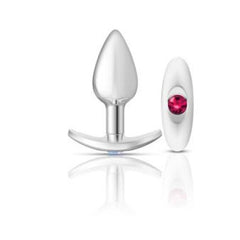 Cheeky Charms Silver Anchor Butt Plug  w Clear and Pink Jewel Kit